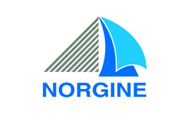 norgine_logo